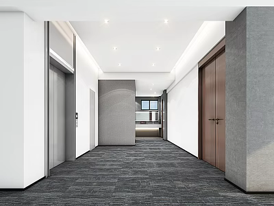 Modern Elevator Hallway With Carpeted Floor Ceiling Lights White Walls And Wooden Doors 3d model