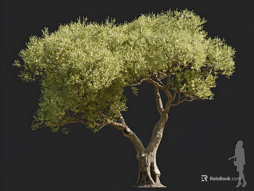 Tall Arbor Tree with Thick Trunk Lush Green Leaves and Human Silhouette 3d model 