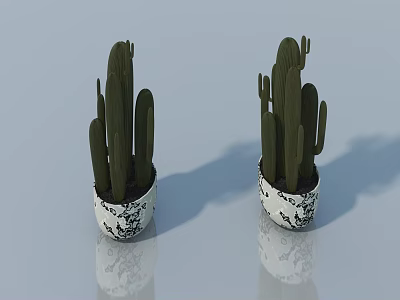 Cactus Bonsai Plants in Black and White Patterned Pots on Shiny Surface with Reflections 3d model