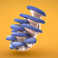 Vibrant Blue Oyster Mushrooms Cluster on Bright Yellow Background Fresh Vegetable