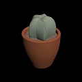 Green Textured Cactus Growing In Brown Ceramic Planter For Indoor Decor