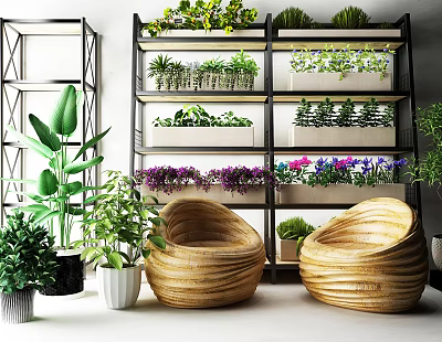 Charming Garden Decor with Multi tiered Shelves Various Plants and Wicker Chairs 3d model