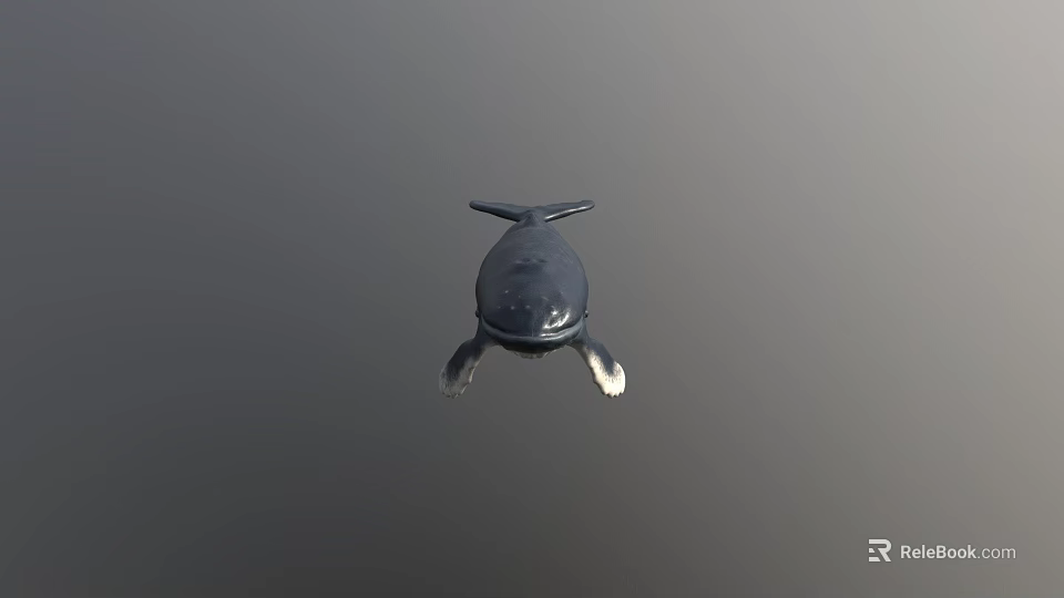 Realistic Black Whale Figurine With Sleek Glossy Surface Against Gray Background 3d model 