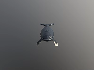 Realistic Black Whale Figurine With Sleek Glossy Surface Against Gray Background 3d model