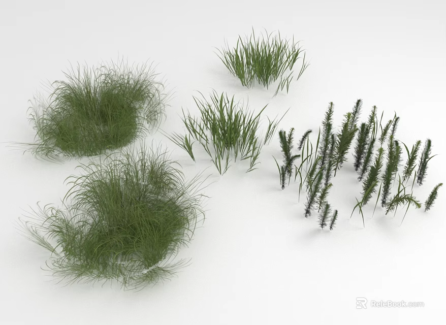 Various Green Herbaceous Plants Including Tufted Slender And Erect Grass Species 3d model 