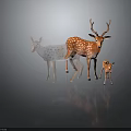 Three Spotted Deer Including Adult With Antlers And Fawn On Dark Background