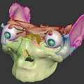 Realistic Anatomical Skull Model With Detailed Eyeballs Green Iris And Red Blood Vessels