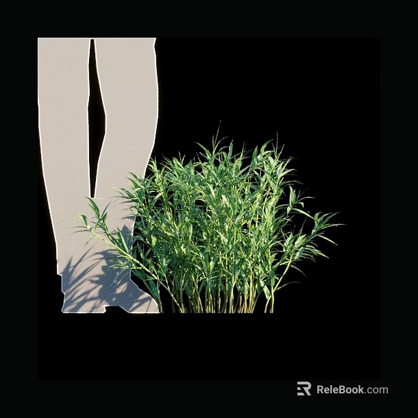 Green Bamboo Plants Growing Next to White Human Silhouette on Black Background 3d model 