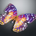 Colorful Butterfly With Purple Orange And Yellow Patterned Wings On Dark Background