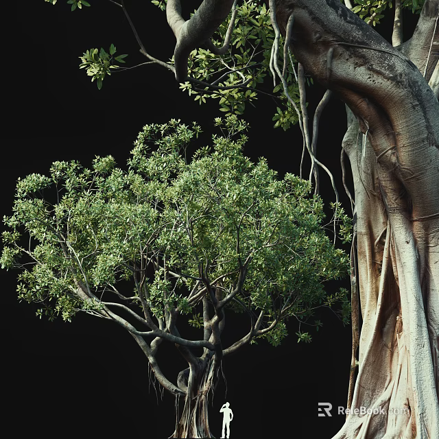 Natural Arbor With Lush Green Foliage And Thick Textured Trunk 3d model 