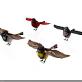 Colorful Birds with Various Colors and Wing Positions on White Background
