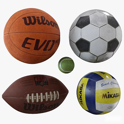 Sports Equipment Collection with Wilson Basketball Soccer Ball Tennis Ball Football and Mikasa Volleyball 3d model