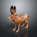 Detailed Brown Hare With Large Ears Standing On Dark Background