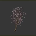 Tree with Pink Flowers Slender Trunk Branches and Exposed Roots on Dark Background 3d model