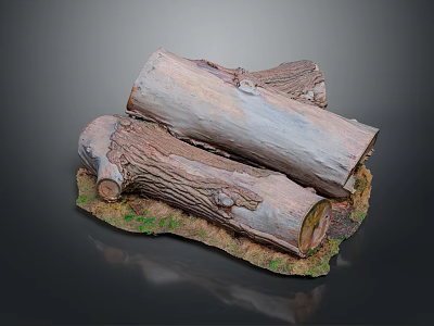 Natural Wood Logs With Intricate Texture Placed On Stone Base Covered In Green Moss 3d model