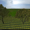 Picturesque Garden Landscape With Lush Trees Neat Flower Beds Green Grass And Sunny Blue Sky