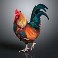 Vibrant Colored Rooster Standing With Red Comb And Colorful Plumage On Gray Background