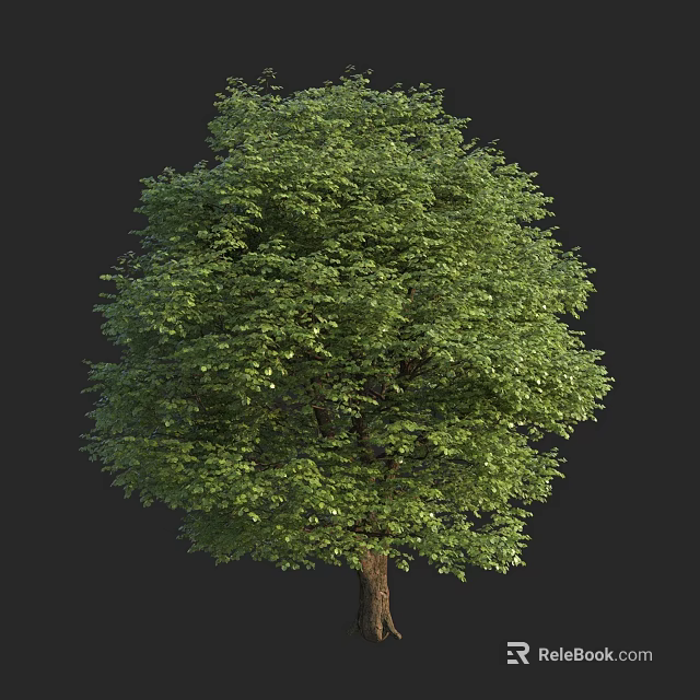 Arbor With Lush Green Foliage And Strong Trunk In Natural Landscape 3d model 