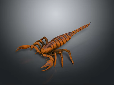 Realistic Brown Striped Scorpion 3D Model With Detailed Exoskeleton And Claws 3d model