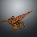 Realistic Brown Striped Scorpion 3D Model With Detailed Exoskeleton And Claws