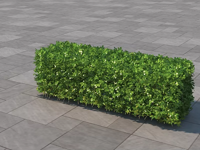 Lush Green Shrub Growing On Gray Paved Ground With Dense Foliage 3d model