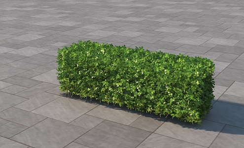 Modern shrub hedge 3d model