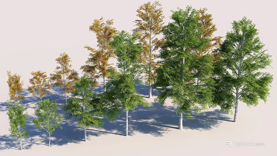 Trees With Green And Yellow Leaves And White Trunks On Light Background Collection 3d model 