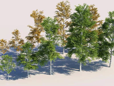 Trees With Green And Yellow Leaves And White Trunks On Light Background Collection 3d model