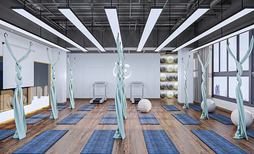 Modern Yoga Studio Yoga Classroom Gym 3d model