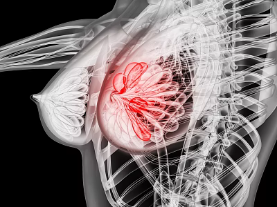 Medical Imaging Devices for Breast Diagnosis Showing Skeletal Structure and Highlighted Area 3d model