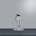 White Leg Shaped Bonsai Plant Pot With Transparent Cover Round Base On Smooth Table