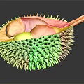 Ripe Durian Cut Open On Dark Background Showing Yellow Flesh And Spiky Outer Shell