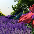 Beautiful Park Landscape With Purple Flower Field Red Flowers Butterfly Green Trees And Flying Birds