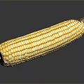 Fresh Yellow Corn Cob with Vibrant Kernels on Dark Reflective Surface