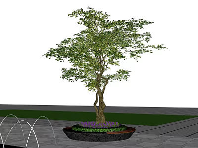 Lush Arbor With Twisted Trunk Green Leaves Purple Flowers In Circular Planter Near Water Fountains 3d model