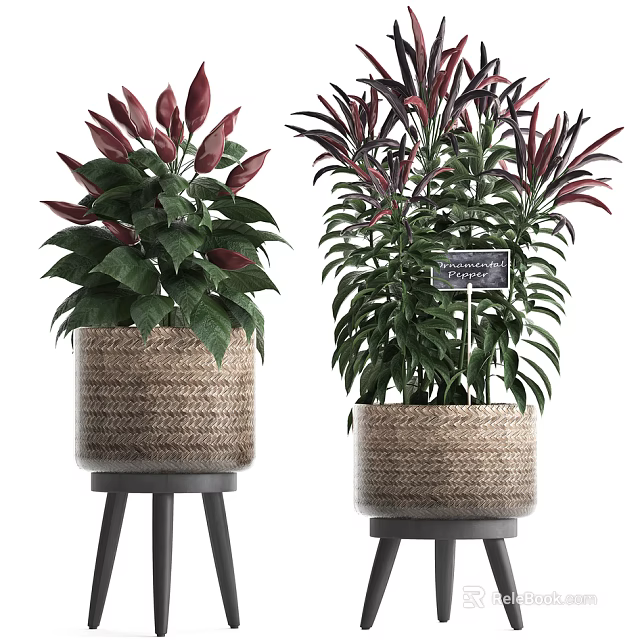 Red and Green Leaf Potted Plants in Woven Baskets on Tripod Stands for Indoor Decor 3d model 