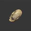 Chi chrysanthemum stone ancient fossil stone chrysanthemum fossil items 3d model