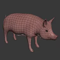 Realistic Pink Pig 3D Model With Smooth Skin On Black Background