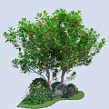 Lush Tree With Green Leaves Red Fruits And Surrounding Flowers Grass Stone