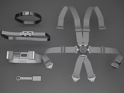 Safety Straps With Buckle Adjustment Components And Durable Fastening Parts 3d model