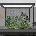 Modern Interior Design With Various Lush Green Indoor Plants And Foliage