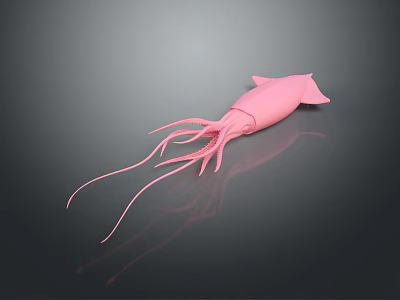 Artistic Pink Squid Sculpture Display On Smooth Dark Background With Clear Reflection 3d model
