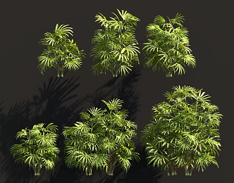 Palm Brown Bamboo Leaves Brown Shrubs Garden Tree Pool Cluster Sits Hedgerow Group Ornaments Tropical Outdoor Greening 3d model