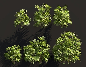 Palm Brown Bamboo Leaves Brown Shrubs Garden Tree Pool Cluster Sits Hedgerow Group Ornaments Tropical Outdoor Greening 3d model