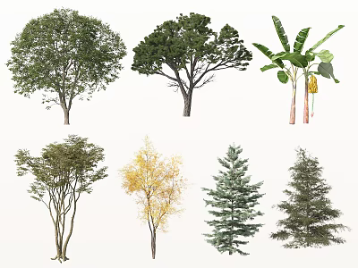 Various Arbor Trees with Different Species Leaf Colors and Growth Shapes for Landscaping 3d model