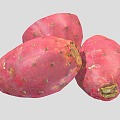 Modern Cactus Fruit Food 3d model