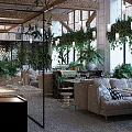 Open Restaurant Interior With Lush Greenery Natural Light Cozy Seating And Wooden Dining Tables
