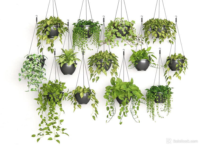 Lush Hanging Basket Plants With Various Greenery In Decorative Pots For Home Decor 3d model 