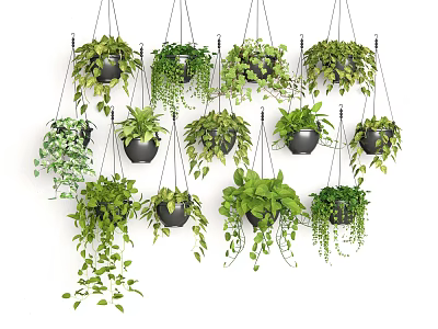 Lush Hanging Basket Plants With Various Greenery In Decorative Pots For Home Decor 3d model
