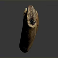 Highly Detailed Game Movie Character Skeleton Jawbone Featuring Sharp Teeth Structure